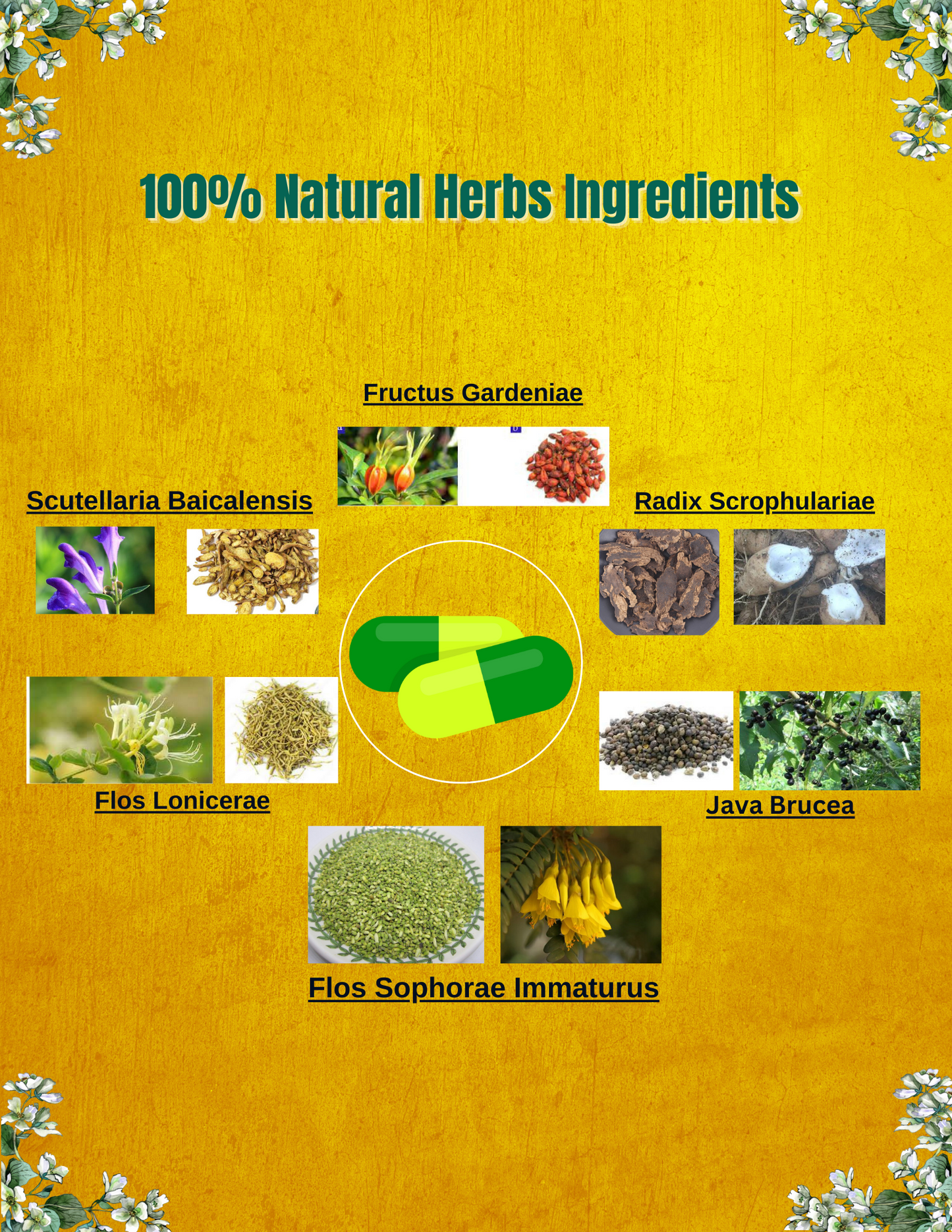 Hemorrdetox - Your 7-Day Herbal Detox Formula Remedy for Lasting Hemorrhoid Relief, Works to address the root causes of hemorrhoids
