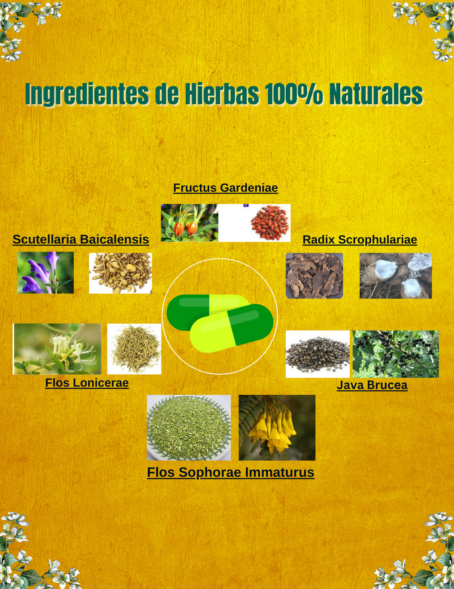 861 HERBS -Desintoxicación De Hemorroides, 7 días Formula, trabaja para abordar las causas raíces de los hemorroides para proporcionar un alivio duradero, remedio 100% herbal.