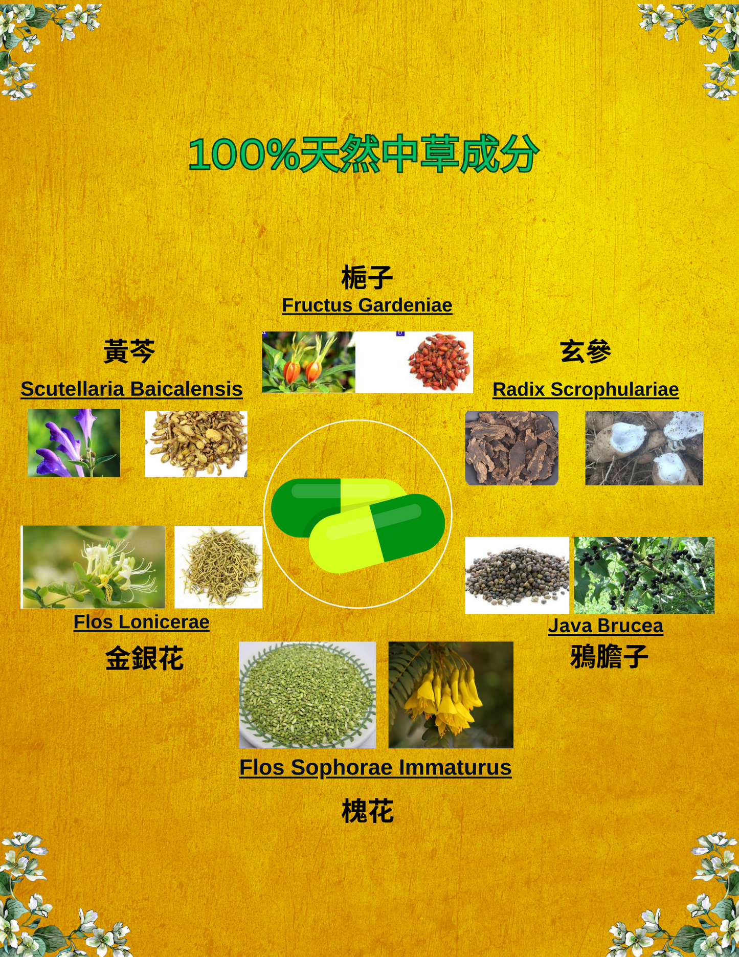 861 HERBS - 痔瘡解毒丸,7天配方 7Days Formula, Works to Address The Root Causes of Hemorrhoids to Provide Long-Lasting Relief,100% Herbal Remedy